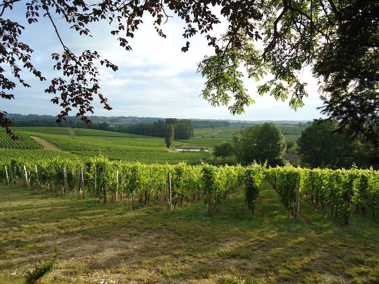 Château Valandraud Saint-Emilion