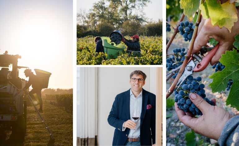 Vendanges Millésime 2025 - Château Branaire Ducru