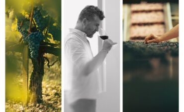 Vendanges Millésime 2025 - Château Rauzan-Ségla