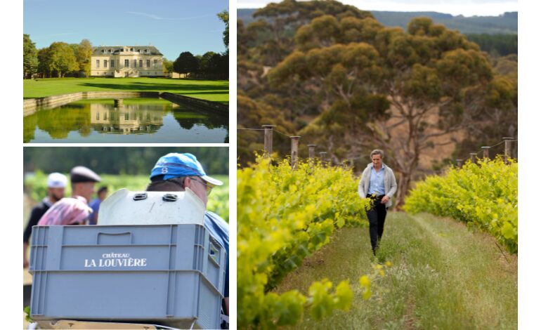 Vendanges Millésime 2025 - Château La Louvière