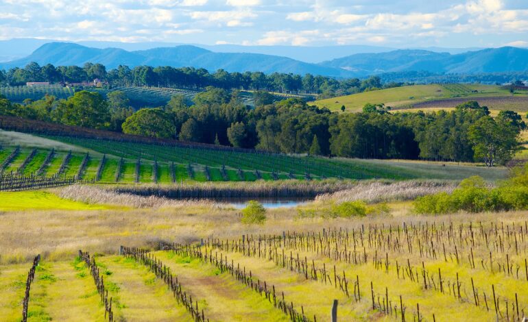 Hunter Valley - Australie