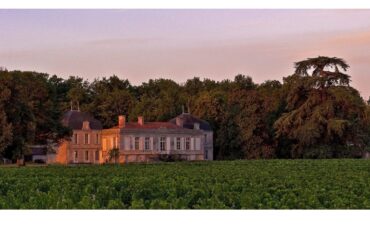 Château Picque Caillou - Pessac Léognan