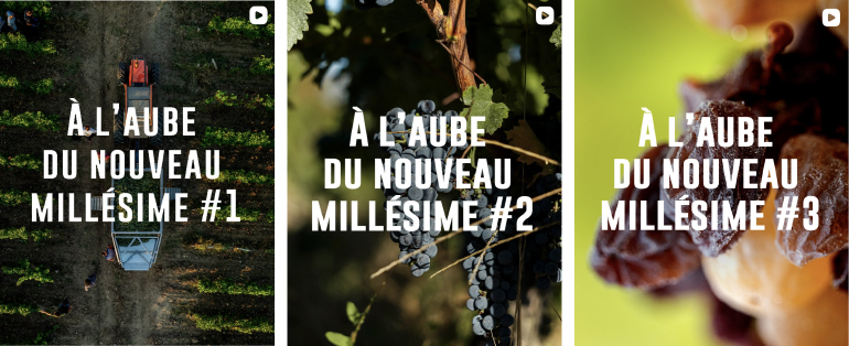 Vidéo A l'Aube du Millésime